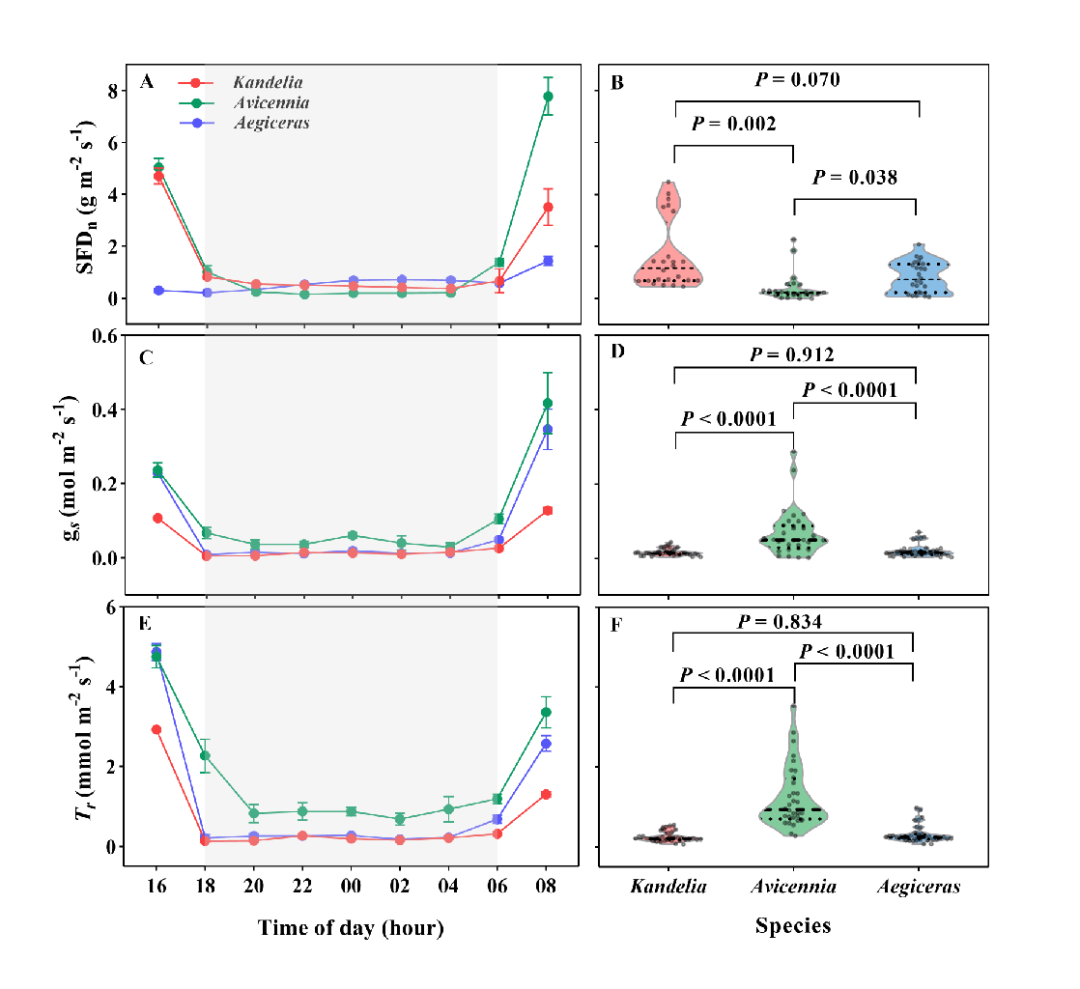 Nocturnal sap flow as compensation for water deficits: an implicit water-saving strategy used by mangroves in stressful environments