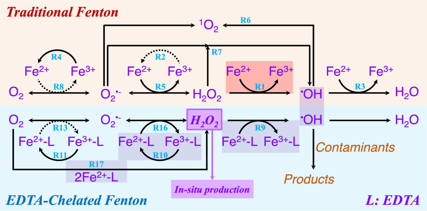 Redox Property of Coordinated Iron Ion Enables Activation of O2 via in-situ Generated H2O2 and Additionally Added H2O2 in EDTA-Chelated Fenton Reaction