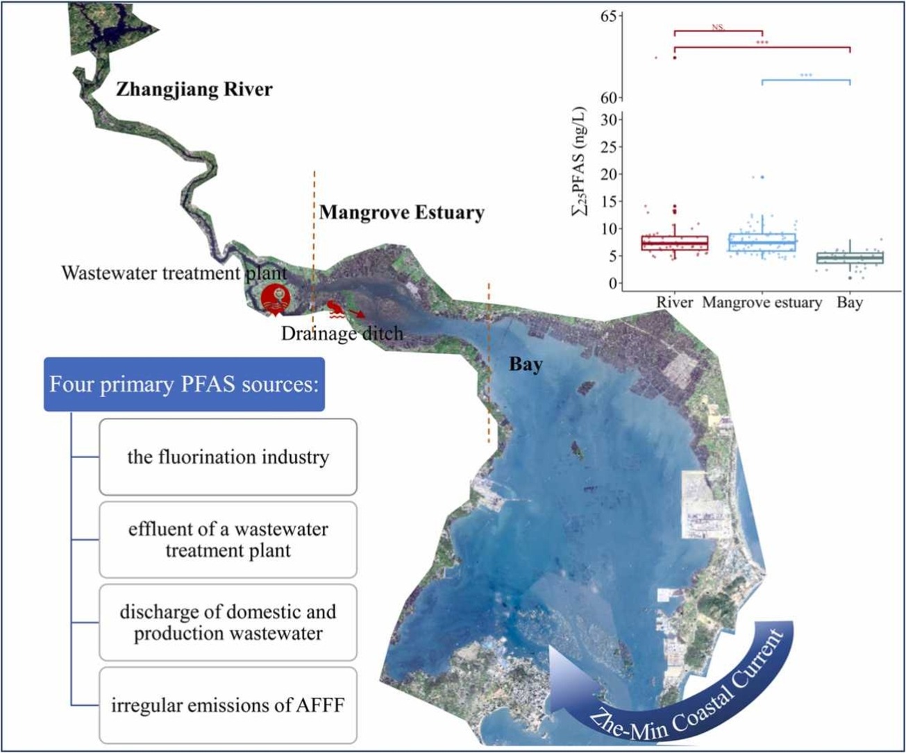 Per- and polyfluoroalkyl substances in marine organisms along the coast of China