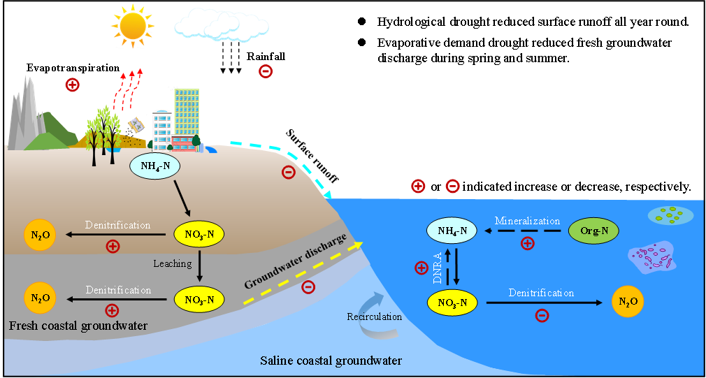 Drought reduces nitrogen supply and N2O emission in coastal bays